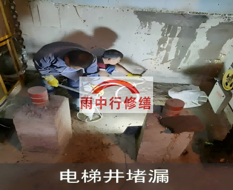 尼玛星雨华府电梯井堵漏案例